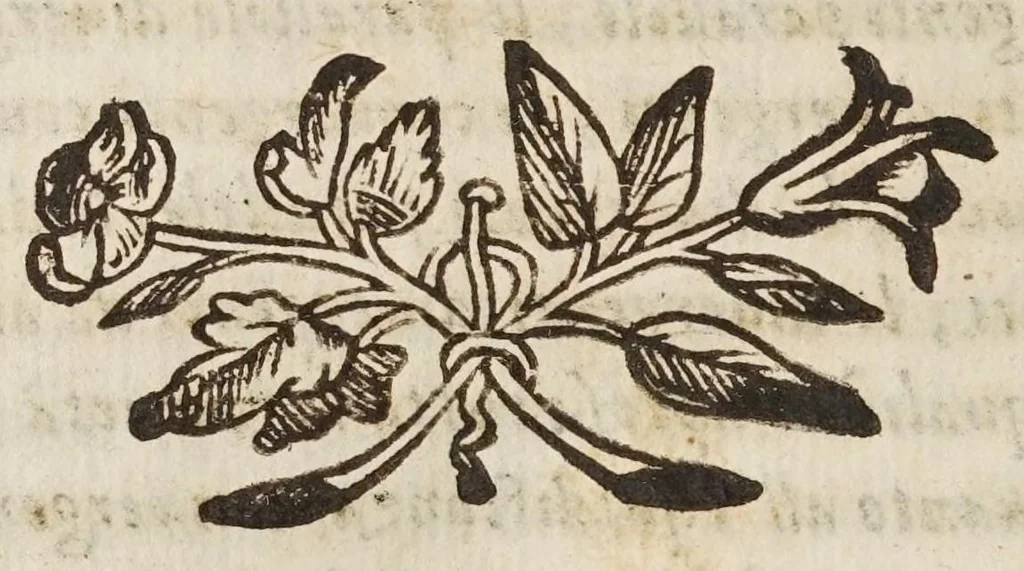 An illustration from Lo specchio vstorio, overo, Trattato delle settioni coniche, et alcvni loro mirabili effetti intorno al lume, caldo, freddo, suono, e moto ancora ..., 1632, leaf 90