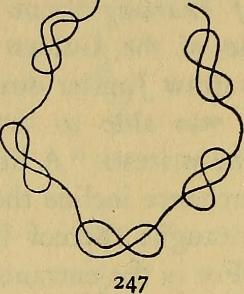 An illustration from The lost language of symbolism : an inquiry into the origin of certain letters, words, names, fairy-tales, folklore, and mythologies, 1912, leaf 107