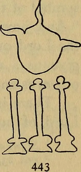 An illustration from The lost language of symbolism : an inquiry into the origin of certain letters, words, names, fairy-tales, folklore, and mythologies, 1912, leaf 178