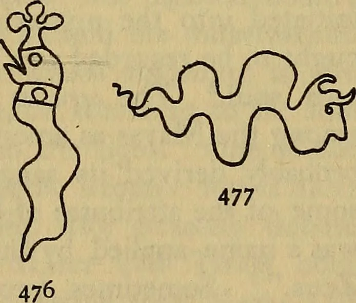 An illustration from The lost language of symbolism : an inquiry into the origin of certain letters, words, names, fairy-tales, folklore, and mythologies, 1912, leaf 216