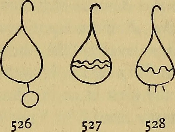 An illustration from The lost language of symbolism : an inquiry into the origin of certain letters, words, names, fairy-tales, folklore, and mythologies, 1912, leaf 259