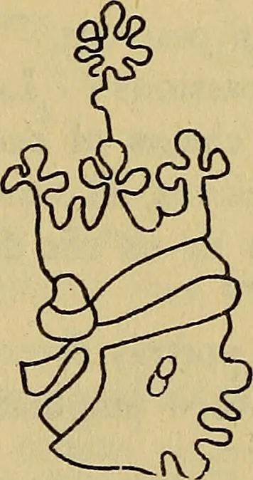 An illustration from The lost language of symbolism : an inquiry into the origin of certain letters, words, names, fairy-tales, folklore, and mythologies, 1912, leaf 45
