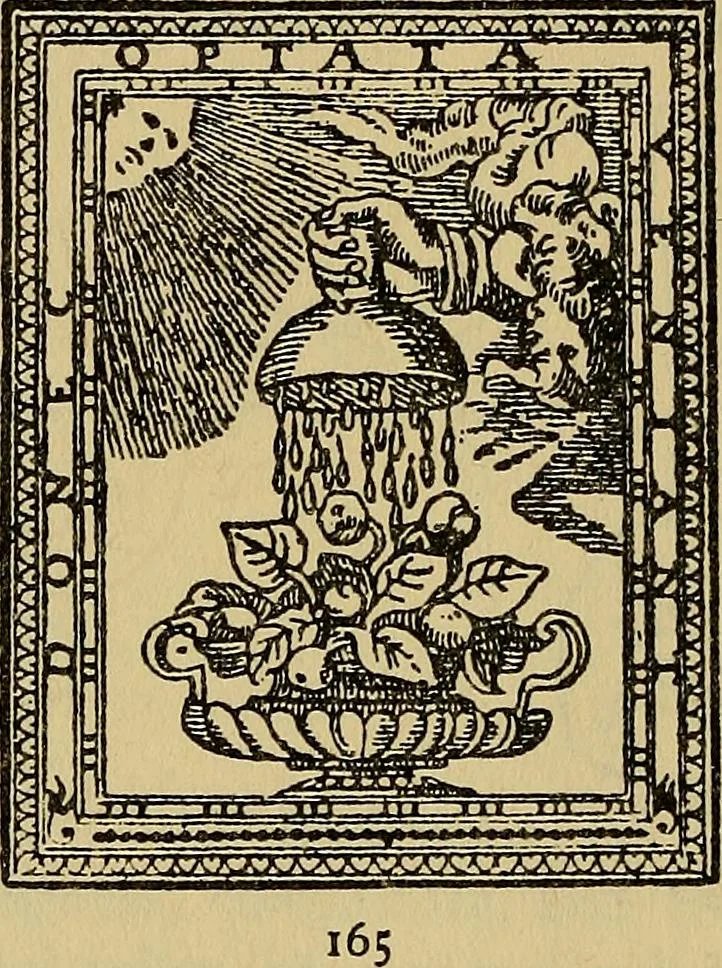 An illustration from The lost language of symbolism : an inquiry into the origin of certain letters, words, names, fairy-tales, folklore, and mythologies, 1912, leaf 81
