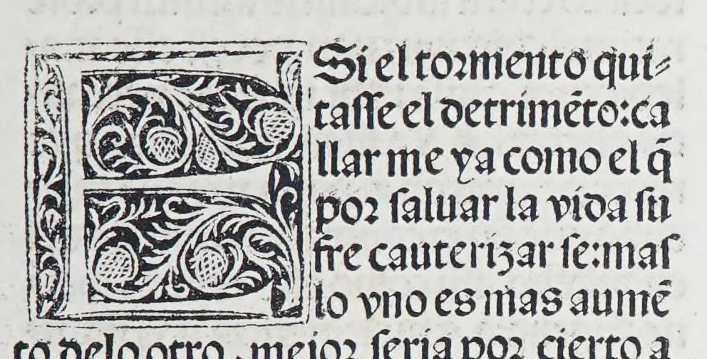 An illustration from Los tratados del doctor Alonso Ortiz : Tratado dela herida del rey. : Tratado consolatorio a la princesa de Portugal. : Item vna oracion alos reyes en latin y en romance : Item dos cartas me[n]ajeras a los reyes. Vna que embio [sic] la cibdad [sic] la otra el cabildo dela yglesia de Toledo : Tratado contra la carta del prothonotario de Lucena, leaf 119