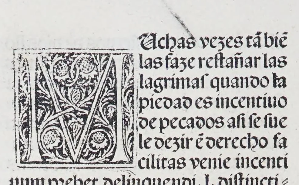 An illustration from Los tratados del doctor Alonso Ortiz : Tratado dela herida del rey. : Tratado consolatorio a la princesa de Portugal. : Item vna oracion alos reyes en latin y en romance : Item dos cartas me[n]ajeras a los reyes. Vna que embio [sic] la cibdad [sic] la otra el cabildo dela yglesia de Toledo : Tratado contra la carta del prothonotario de Lucena, leaf 122