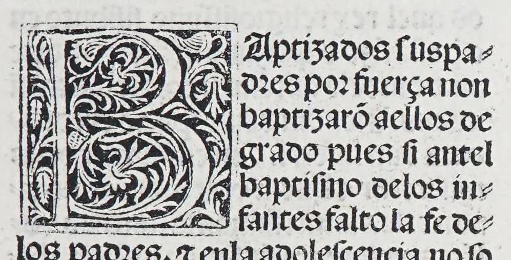 An illustration from Los tratados del doctor Alonso Ortiz : Tratado dela herida del rey. : Tratado consolatorio a la princesa de Portugal. : Item vna oracion alos reyes en latin y en romance : Item dos cartas me[n]ajeras a los reyes. Vna que embio [sic] la cibdad [sic] la otra el cabildo dela yglesia de Toledo : Tratado contra la carta del prothonotario de Lucena, leaf 155