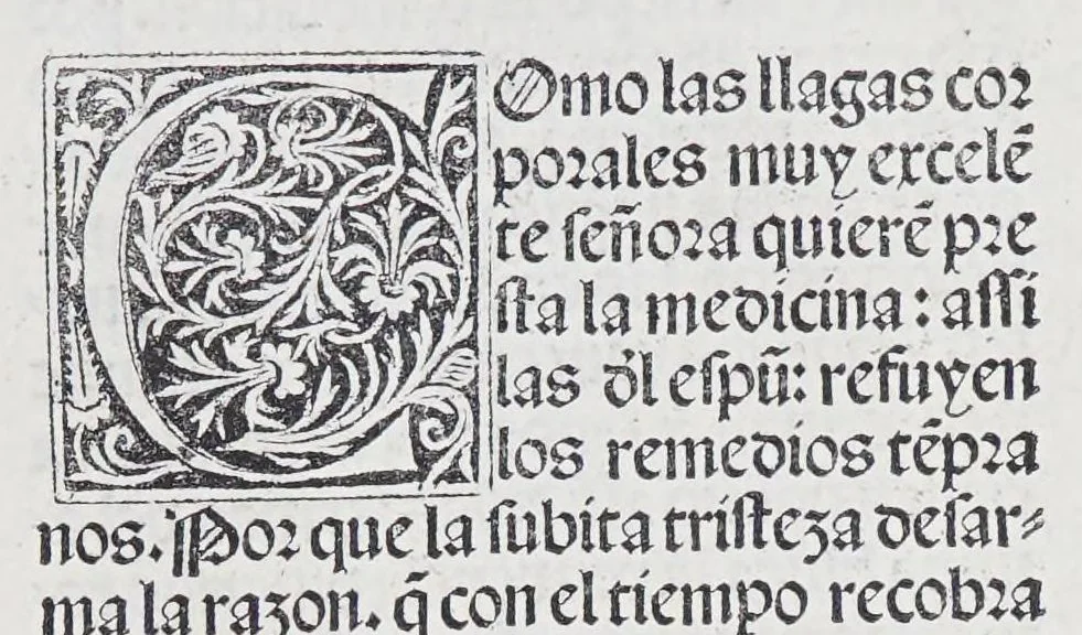 An illustration from Los tratados del doctor Alonso Ortiz : Tratado dela herida del rey. : Tratado consolatorio a la princesa de Portugal. : Item vna oracion alos reyes en latin y en romance : Item dos cartas me[n]ajeras a los reyes. Vna que embio [sic] la cibdad [sic] la otra el cabildo dela yglesia de Toledo : Tratado contra la carta del prothonotario de Lucena, leaf 25