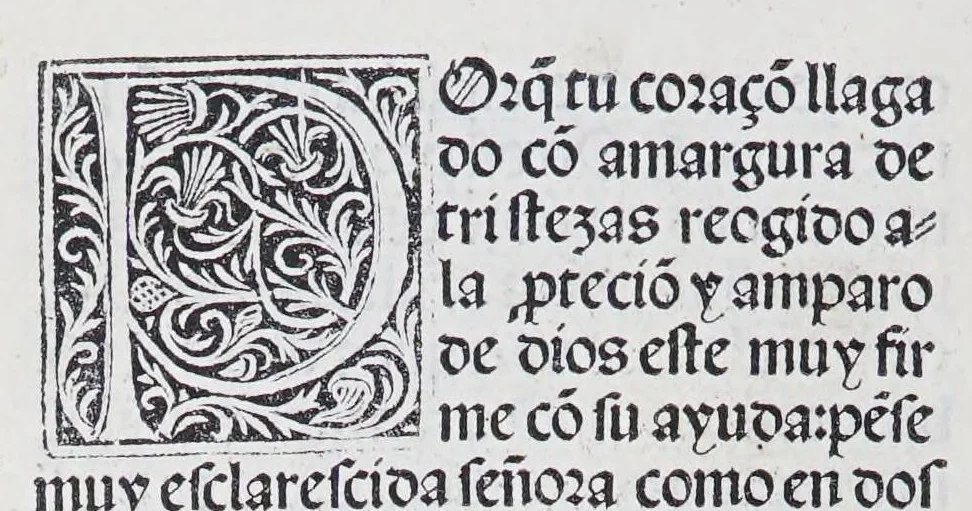 An illustration from Los tratados del doctor Alonso Ortiz : Tratado dela herida del rey. : Tratado consolatorio a la princesa de Portugal. : Item vna oracion alos reyes en latin y en romance : Item dos cartas me[n]ajeras a los reyes. Vna que embio [sic] la cibdad [sic] la otra el cabildo dela yglesia de Toledo : Tratado contra la carta del prothonotario de Lucena, leaf 30