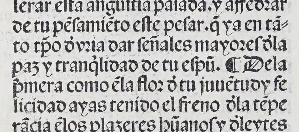 An illustration from Los tratados del doctor Alonso Ortiz : Tratado dela herida del rey. : Tratado consolatorio a la princesa de Portugal. : Item vna oracion alos reyes en latin y en romance : Item dos cartas me[n]ajeras a los reyes. Vna que embio [sic] la cibdad [sic] la otra el cabildo dela yglesia de Toledo : Tratado contra la carta del prothonotario de Lucena, leaf 30