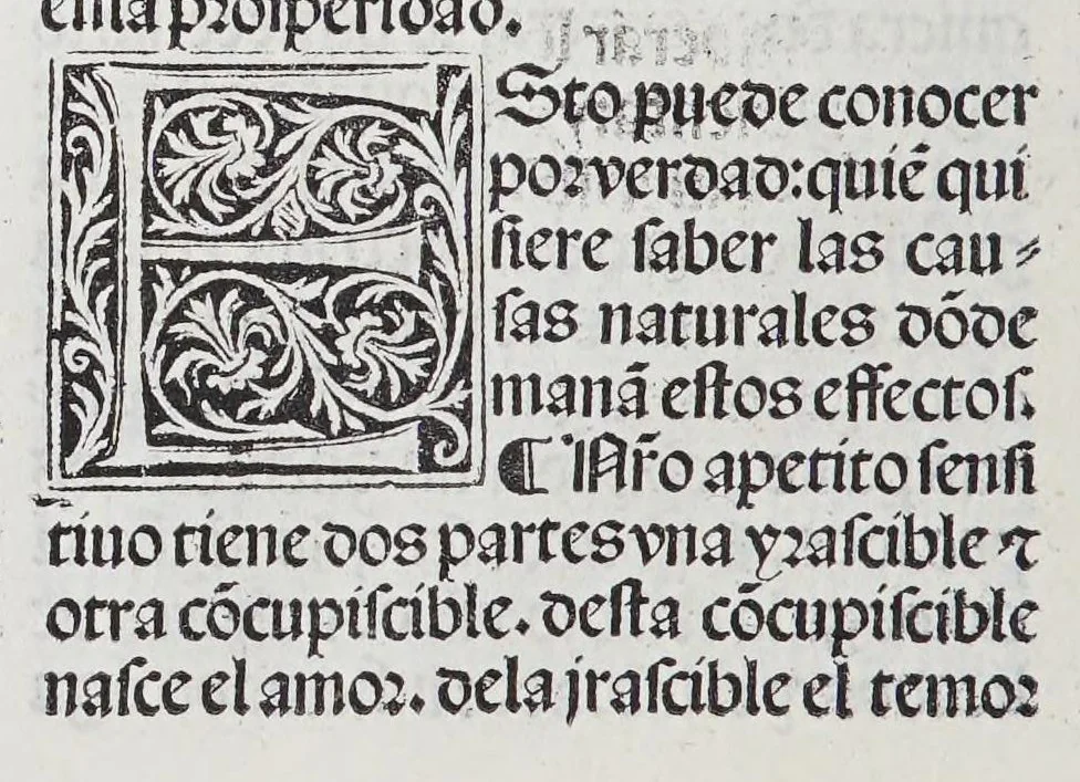An illustration from Los tratados del doctor Alonso Ortiz : Tratado dela herida del rey. : Tratado consolatorio a la princesa de Portugal. : Item vna oracion alos reyes en latin y en romance : Item dos cartas me[n]ajeras a los reyes. Vna que embio [sic] la cibdad [sic] la otra el cabildo dela yglesia de Toledo : Tratado contra la carta del prothonotario de Lucena, leaf 32