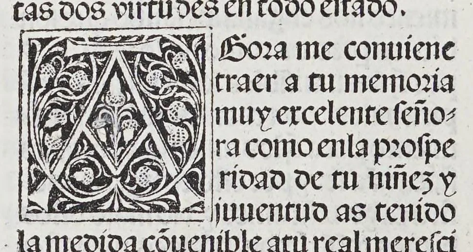 An illustration from Los tratados del doctor Alonso Ortiz : Tratado dela herida del rey. : Tratado consolatorio a la princesa de Portugal. : Item vna oracion alos reyes en latin y en romance : Item dos cartas me[n]ajeras a los reyes. Vna que embio [sic] la cibdad [sic] la otra el cabildo dela yglesia de Toledo : Tratado contra la carta del prothonotario de Lucena, leaf 34