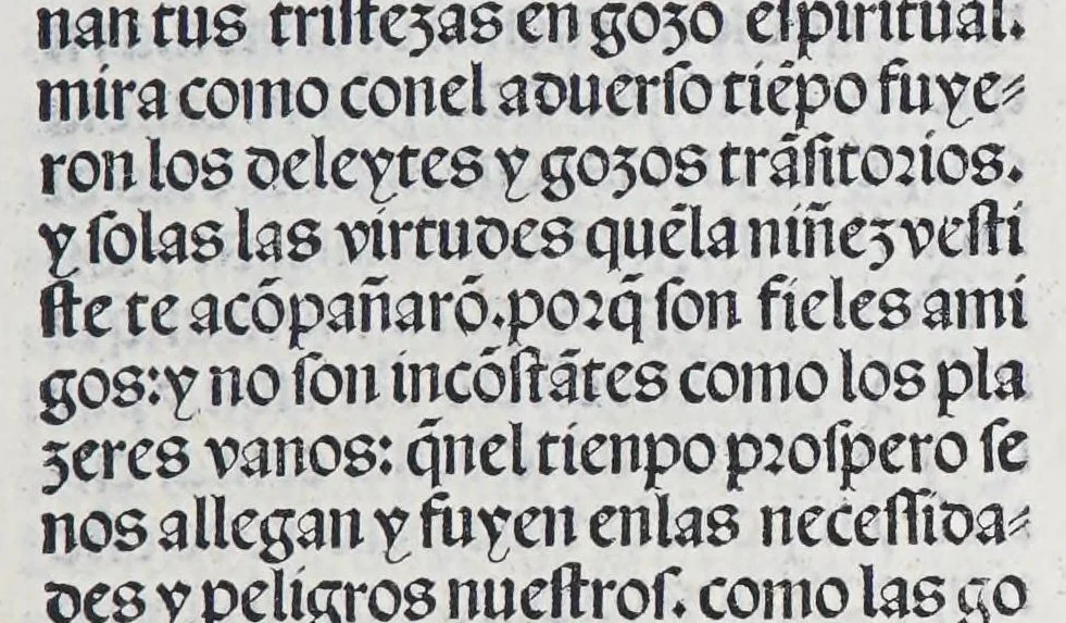 An illustration from Los tratados del doctor Alonso Ortiz : Tratado dela herida del rey. : Tratado consolatorio a la princesa de Portugal. : Item vna oracion alos reyes en latin y en romance : Item dos cartas me[n]ajeras a los reyes. Vna que embio [sic] la cibdad [sic] la otra el cabildo dela yglesia de Toledo : Tratado contra la carta del prothonotario de Lucena, leaf 35