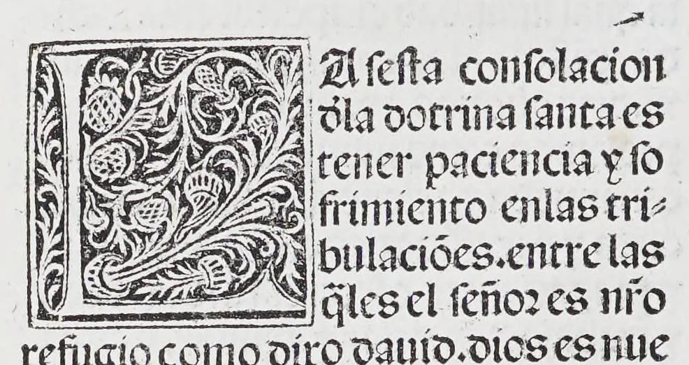 An illustration from Los tratados del doctor Alonso Ortiz : Tratado dela herida del rey. : Tratado consolatorio a la princesa de Portugal. : Item vna oracion alos reyes en latin y en romance : Item dos cartas me[n]ajeras a los reyes. Vna que embio [sic] la cibdad [sic] la otra el cabildo dela yglesia de Toledo : Tratado contra la carta del prothonotario de Lucena, leaf 78