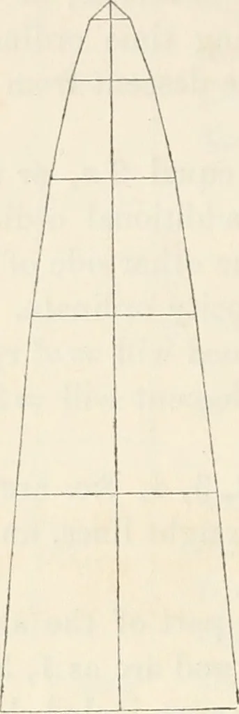 An illustration from The lost solar system of the ancients discovered, 1856, leaf 19