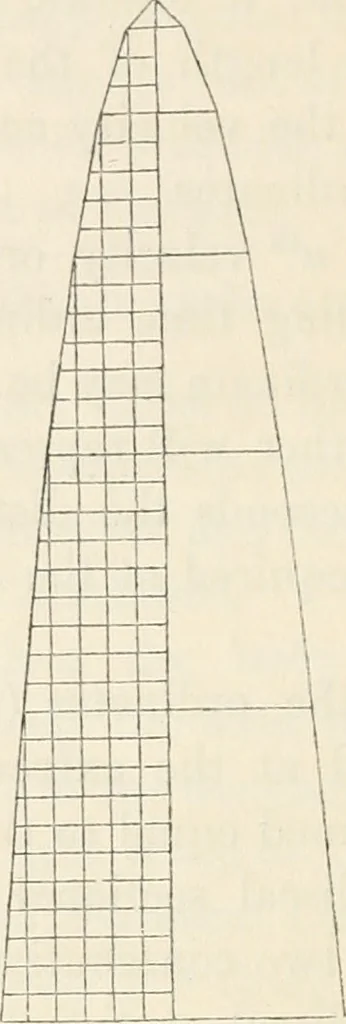 An illustration from The lost solar system of the ancients discovered, 1856, leaf 19
