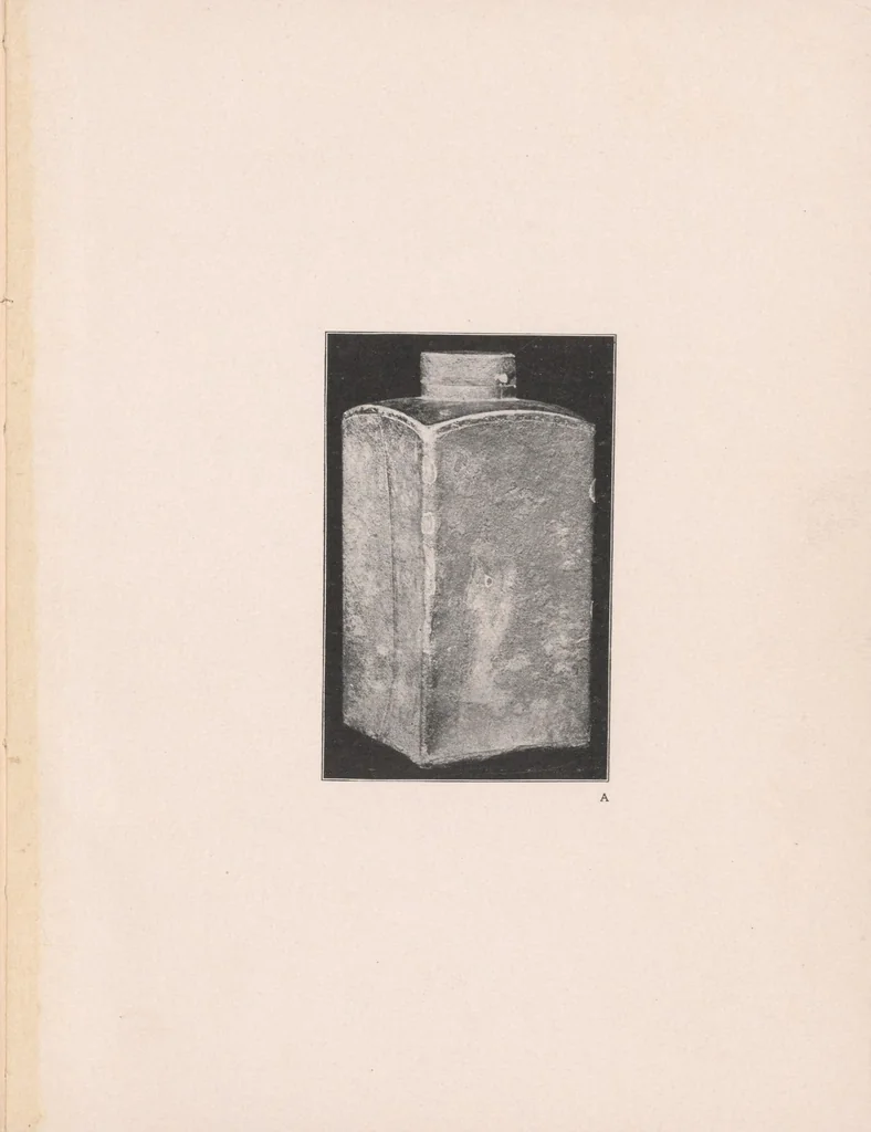 An illustration from Lotus : special holiday number in memoriam James A. McNeill Whistler, 1903, leaf 21