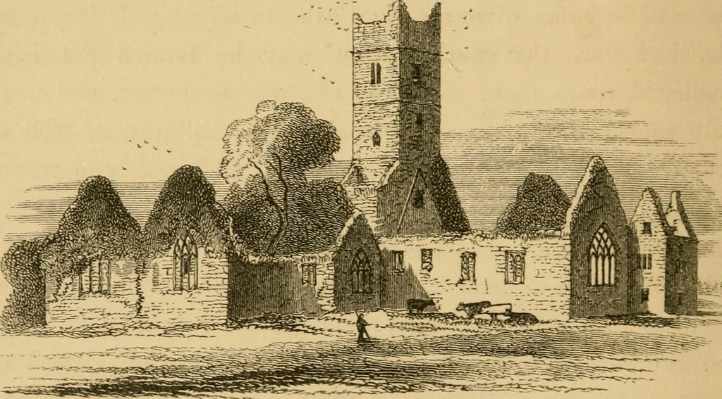 An illustration from Lough Corrib : its shores and islands ; with notices of Lough Mask, 1872, leaf 107