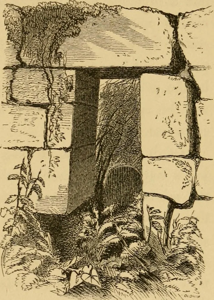 An illustration from Lough Corrib : its shores and islands ; with notices of Lough Mask, 1872, leaf 150
