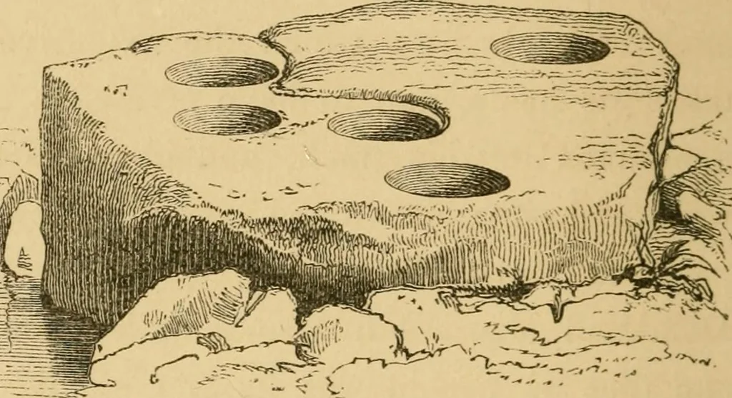 An illustration from Lough Corrib : its shores and islands ; with notices of Lough Mask, 1872, leaf 159