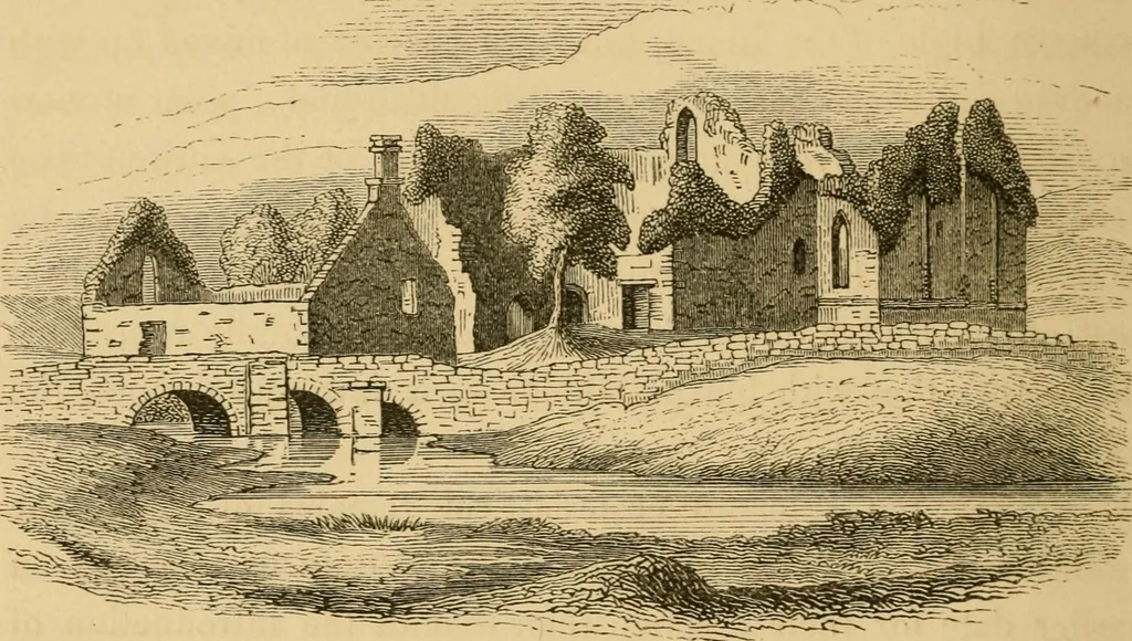 An illustration from Lough Corrib : its shores and islands ; with notices of Lough Mask, 1872, leaf 165