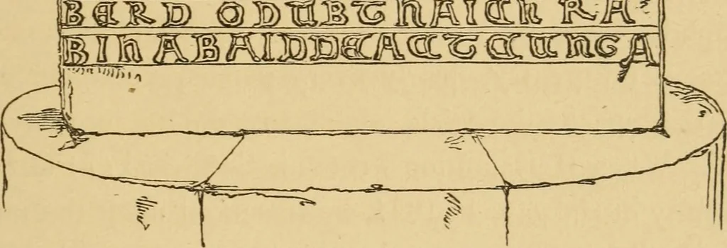 An illustration from Lough Corrib : its shores and islands ; with notices of Lough Mask, 1872, leaf 180
