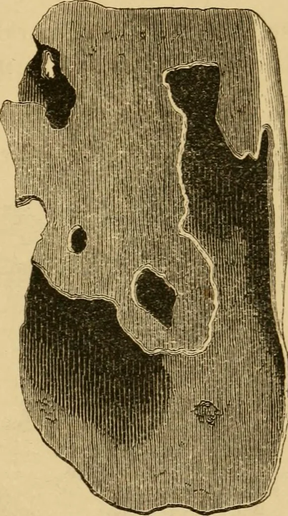 An illustration from Lough Corrib : its shores and islands ; with notices of Lough Mask, 1872, leaf 192