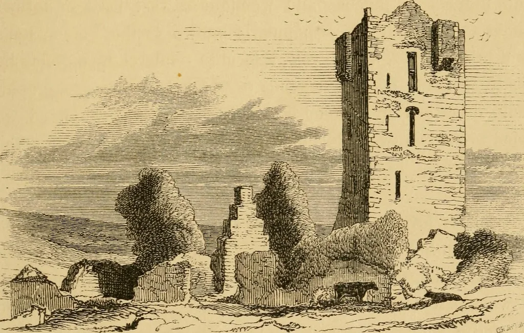 An illustration from Lough Corrib : its shores and islands ; with notices of Lough Mask, 1872, leaf 194