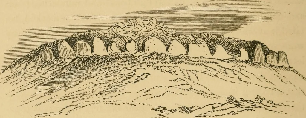 An illustration from Lough Corrib : its shores and islands ; with notices of Lough Mask, 1872, leaf 219