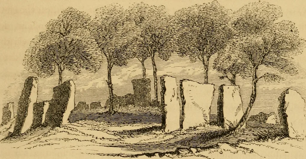 An illustration from Lough Corrib : its shores and islands ; with notices of Lough Mask, 1872, leaf 232