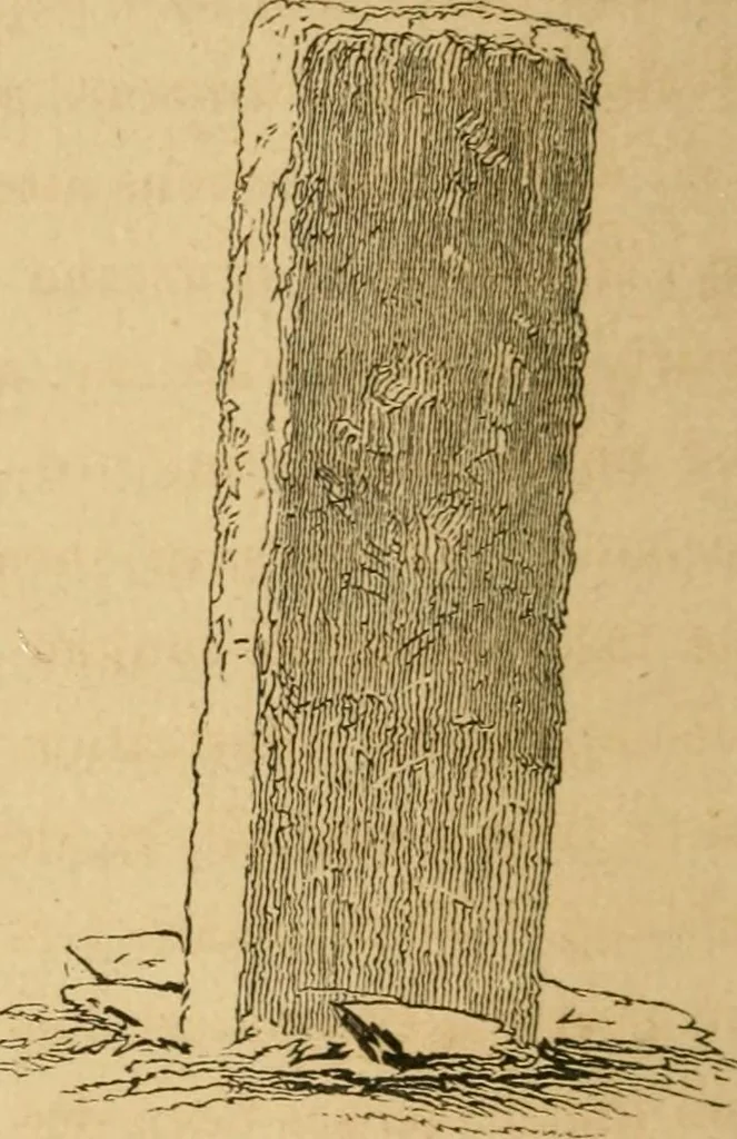 An illustration from Lough Corrib : its shores and islands ; with notices of Lough Mask, 1872, leaf 235