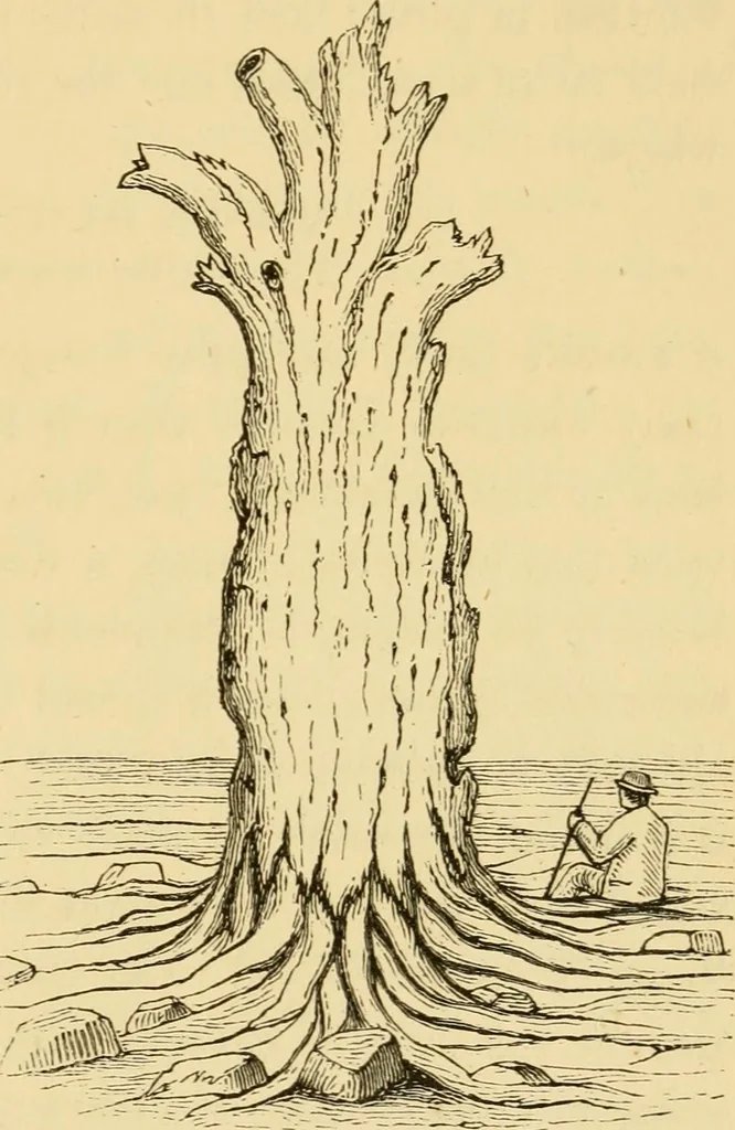 An illustration from Lough Corrib : its shores and islands ; with notices of Lough Mask, 1872, leaf 262
