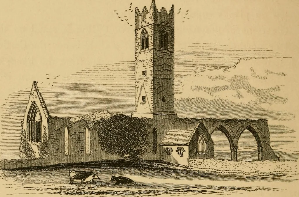 An illustration from Lough Corrib : its shores and islands ; with notices of Lough Mask, 1872, leaf 47