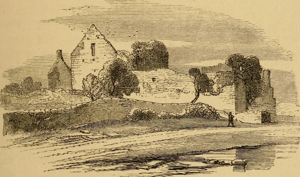 An illustration from Lough Corrib : its shores and islands ; with notices of Lough Mask, 1872, leaf 62
