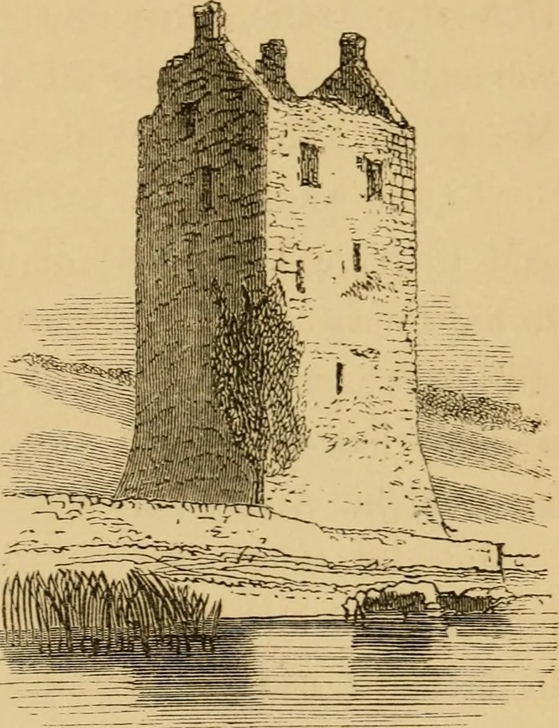 An illustration from Lough Corrib : its shores and islands ; with notices of Lough Mask, 1872, leaf 70