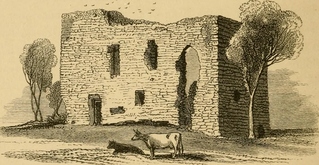 An illustration from Lough Corrib : its shores and islands ; with notices of Lough Mask, 1872, leaf 95
