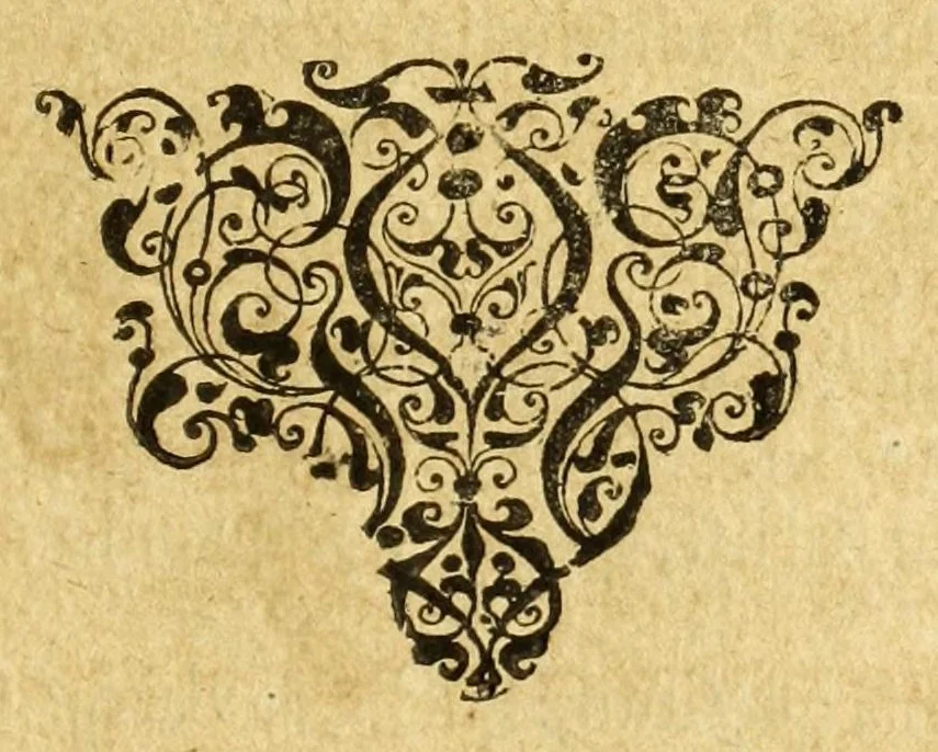 An illustration from Lovanivm : siue opidi et academiæ eivs descriptio : libri tres, 1605, leaf 141
