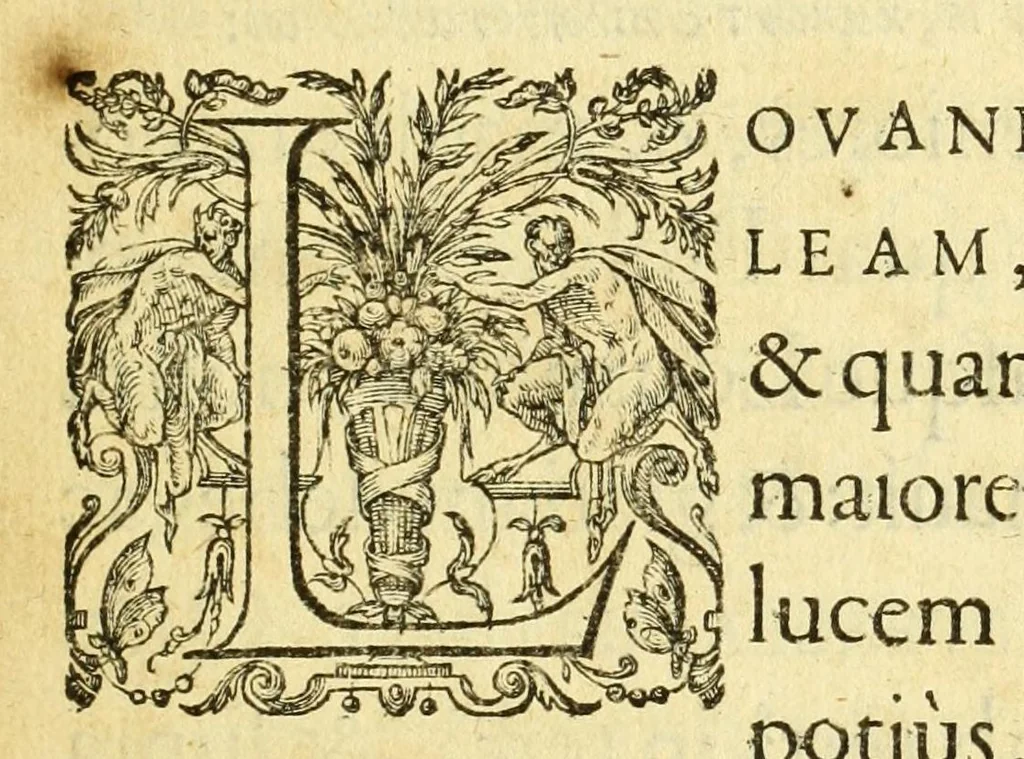 An illustration from Lovanivm : siue opidi et academiæ eivs descriptio : libri tres, 1605, leaf 7