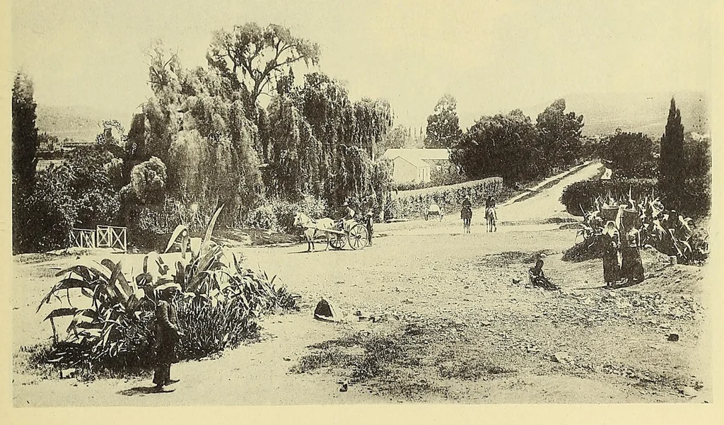An illustration from Lovedale missionary institution, South Africa, 1894, leaf 47