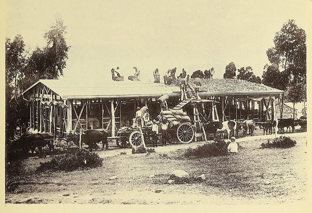An illustration from Lovedale missionary institution, South Africa, 1894, leaf 89