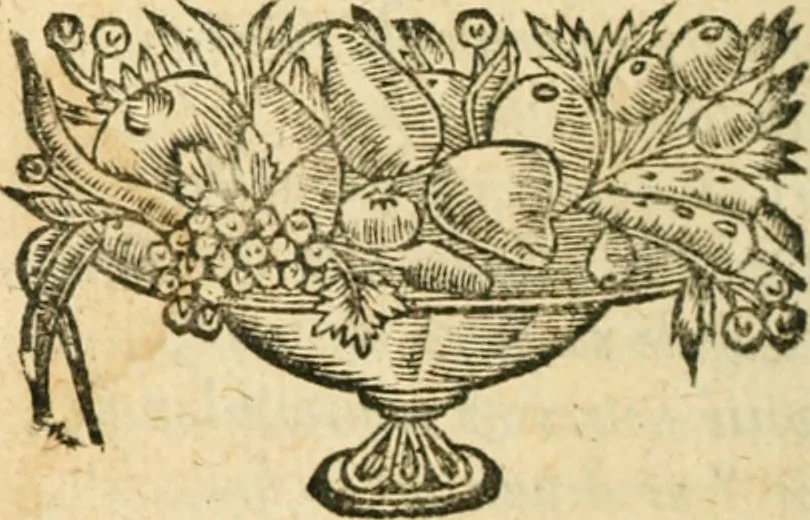 An illustration from L'Ovide bovffon, ov Les metamorphoses travesties en vers bvrlesqves, 1662, leaf 635