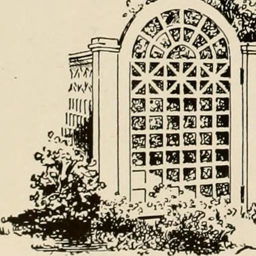 An illustration from Low cost homes., 1900, leaf 7