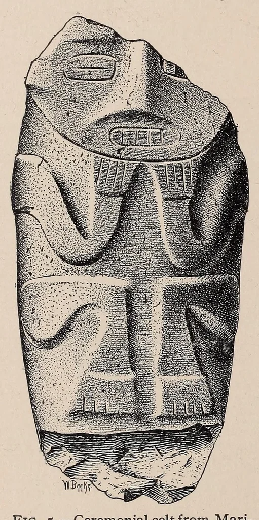 An illustration from Lucayan artifacts from the Bahamas, 1913, leaf 8