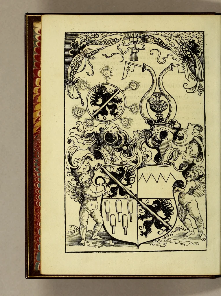An illustration from Luculentissima quaeda[m] terrae totius descriptio : cu[m] multis vtilissimis cosmographiae iniciis. Nouaq[ue] [et] q[uam] ante fuit verior Europæ nostræ formatio. Præterea, fluuioru[m]: montiu[m]: prouintiaru[m]: vrbiu[m]: [et] gentium q[uam] plurimoru[m] vetustissima nomina recentioribus admixta vocabulis. Multa etia[m] quæ diligens lector noua vsuiq[ue] futura inueniet . ., 1515, leaf 6