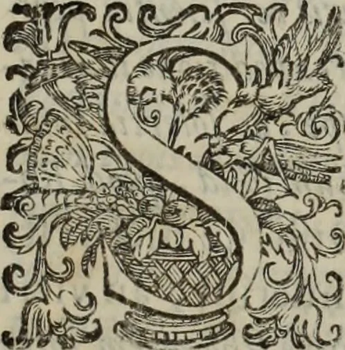 An illustration from Lud. Molinae e Societate Jesu ... De iustitia et jure tratactus : qui est de justitia commutativa circa bona corporis, personarumque nobis coniunctarum, 1611, leaf 1540