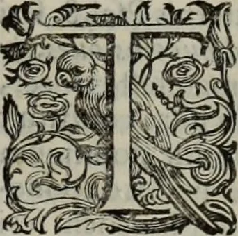 An illustration from Lud. Molinae e Societate Jesu ... De iustitia et jure tratactus : qui est de justitia commutativa circa bona corporis, personarumque nobis coniunctarum, 1611, leaf 2226