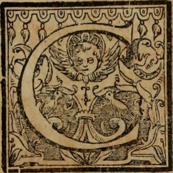 An illustration from Lud. Molinae e Societate Jesu ... De iustitia et jure tratactus : qui est de justitia commutativa circa bona corporis, personarumque nobis coniunctarum, 1611, leaf 600