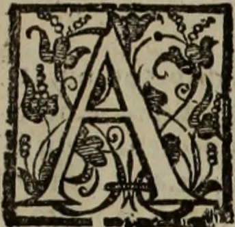 An illustration from Lud. Molinae e Societate Jesu ... De iustitia et jure tratactus : qui est de justitia commutativa circa bona corporis, personarumque nobis coniunctarum, 1611, leaf 610