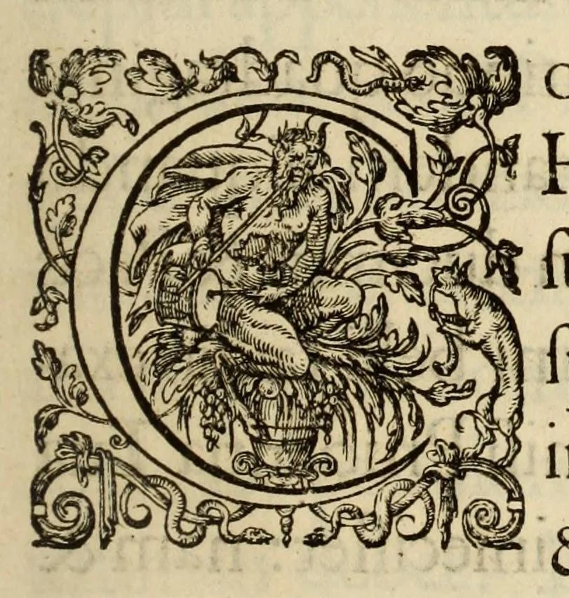 An illustration from Ludovici Nonni Commentarius in Huberti GoltzI Graeciam, insulas, et Asiam Minorem, 1644, leaf 7