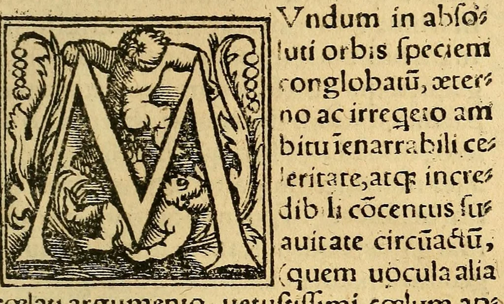 An illustration from Ludovicus Bonaciolus Ferrariensis medicus illustris De uteri partium[que] eius consectione : eiusdem quonam usu in abse[n]tibus etiamnum Venus citetur; quid, quale unde[que] prolificum semen, unde me[n]strua [et]c, 1530, leaf 7