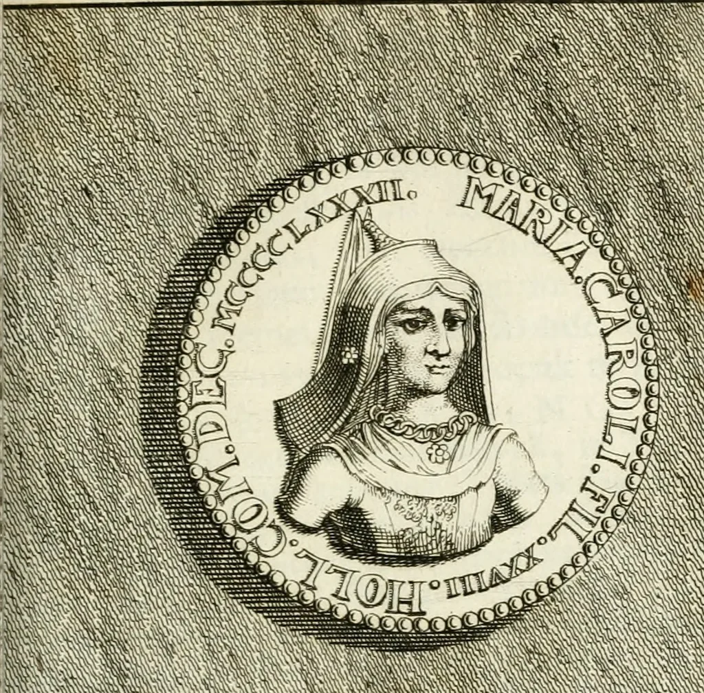 An illustration from Lud. Smids. M.D. Emblemata heroica, of, De medalische sinnebeelden der ses en dertigh graaven van Holland : met konstplaaten vercierd, 1712, leaf 146